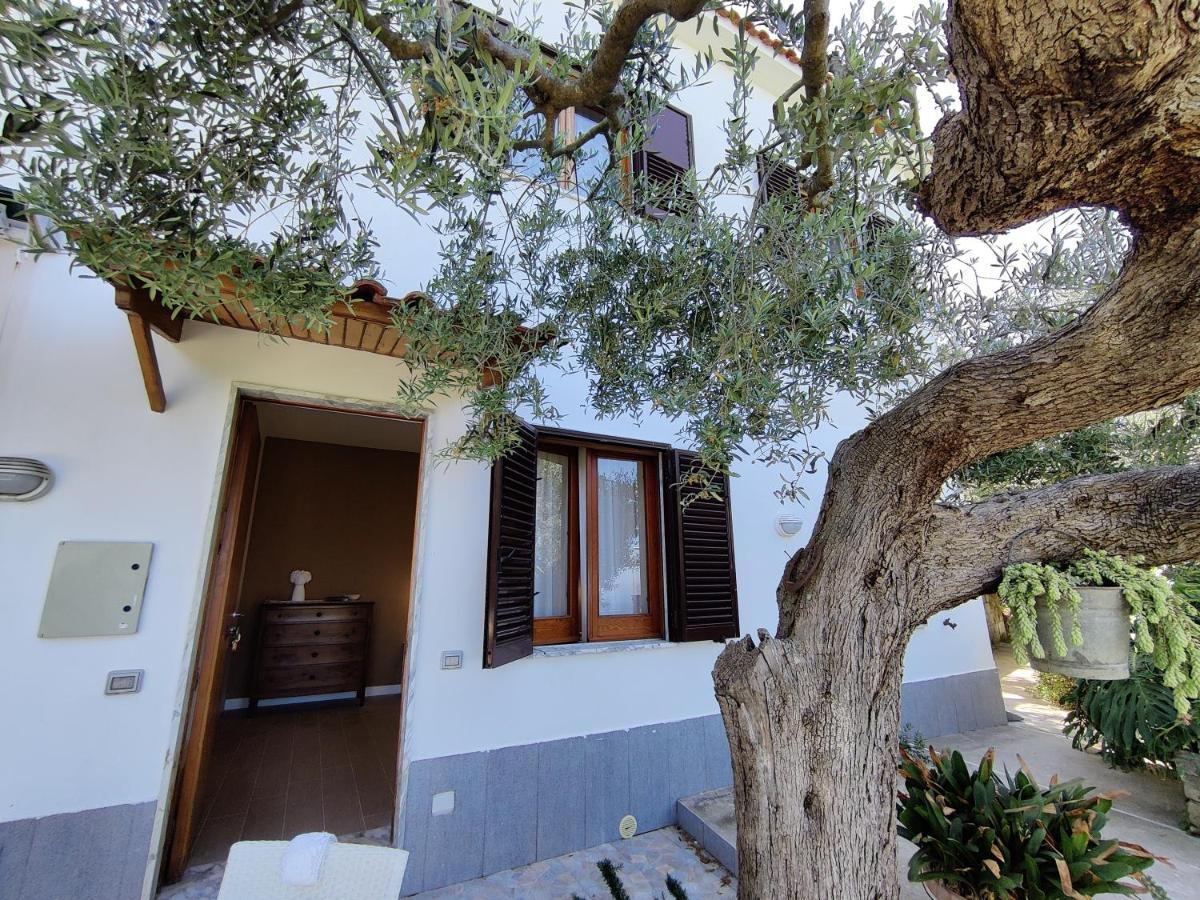 Il Nido Del Gabbiano Apartment Massa Lubrense Exterior photo